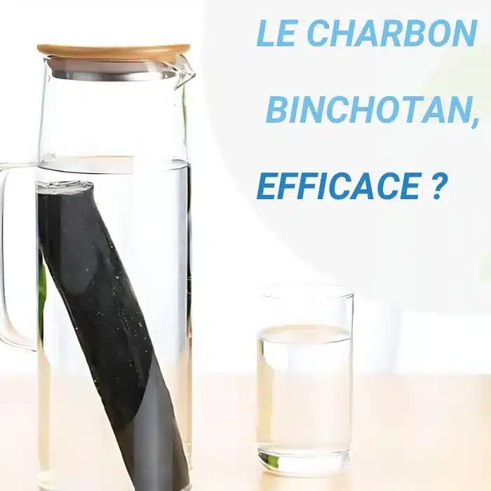 Le charbon binchotan pour filtrer l'eau du robinet est-il efficace ?