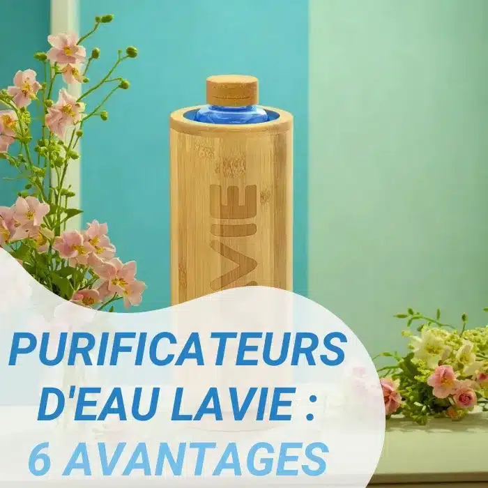 avantages des purificateurs d'eau LAVIE