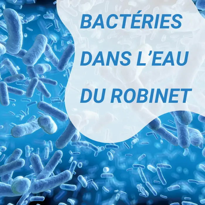 bactéries dans l'eau du robinet