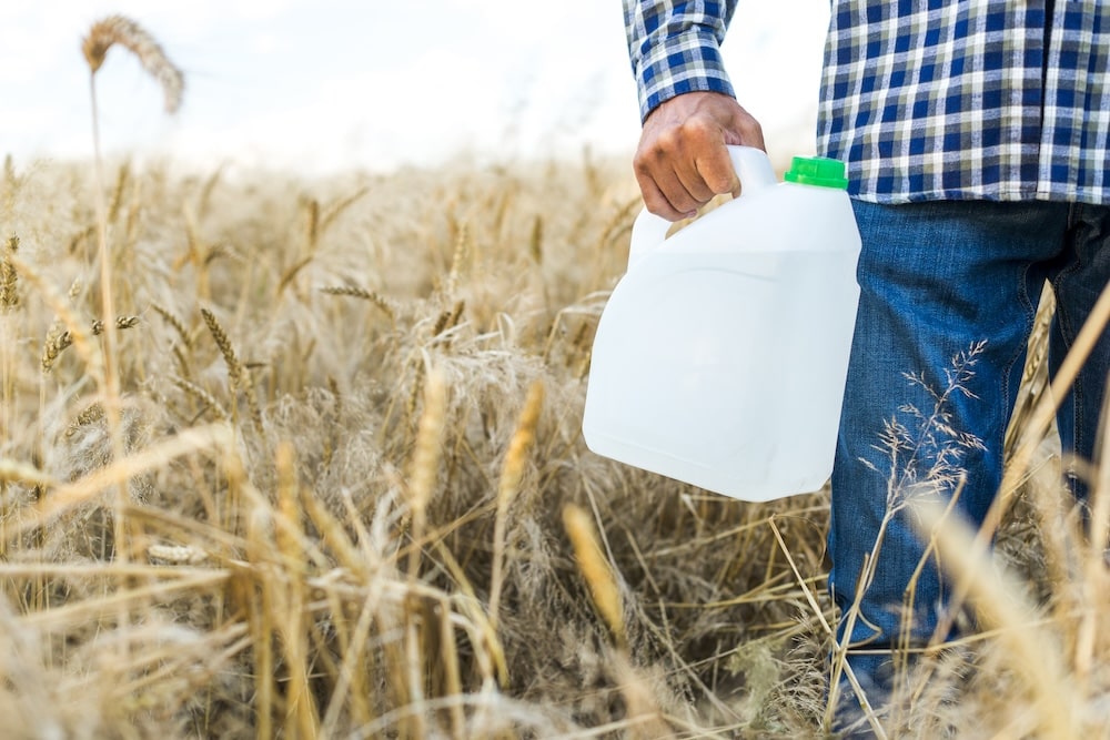 Une personne qui tient une cartouche de pesticides dans un champ de blé